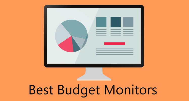 budget monitors